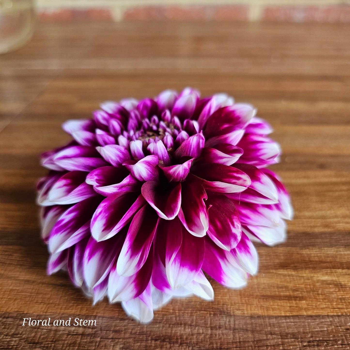 Du Roi Albert (Deuil)