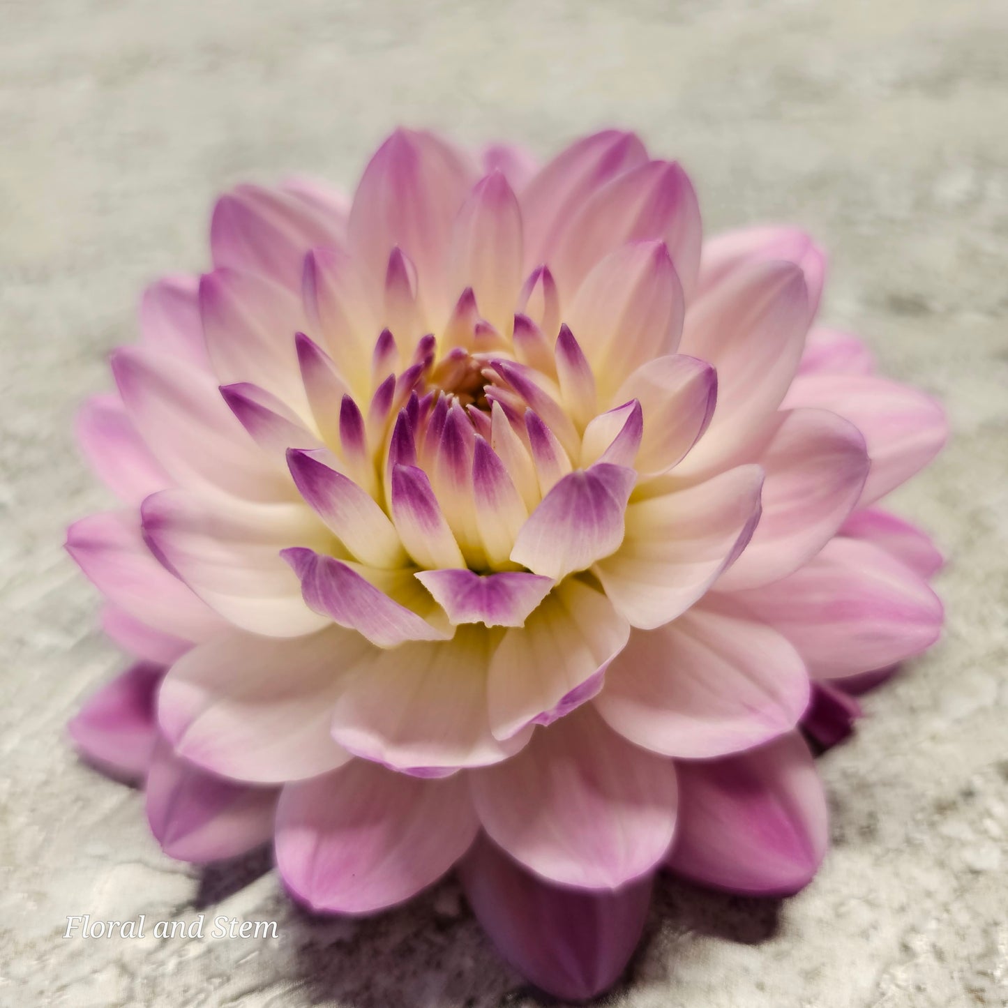 Figurine