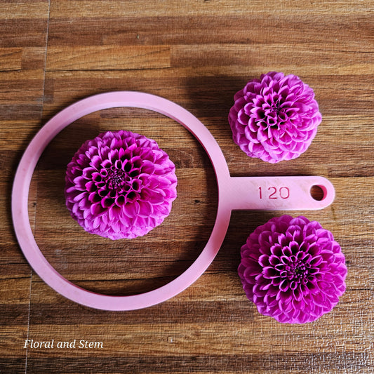 Florelie Boysenberry