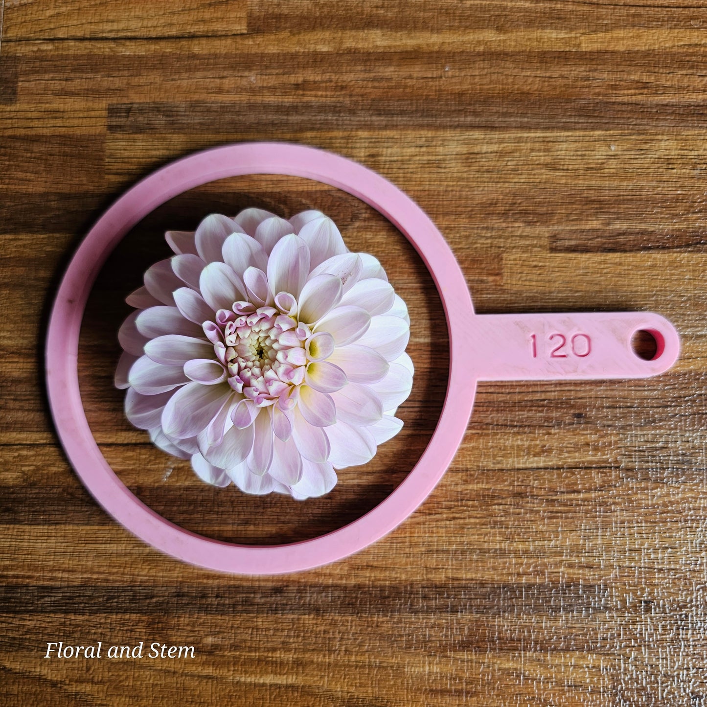 Florelie Peggy