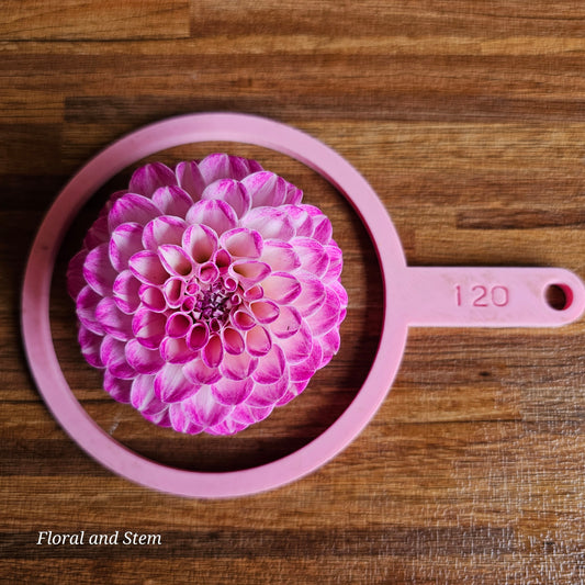 Florelie Watercolour