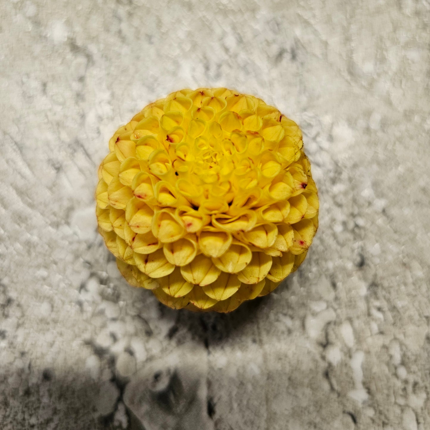 Glenbank Honeycomb