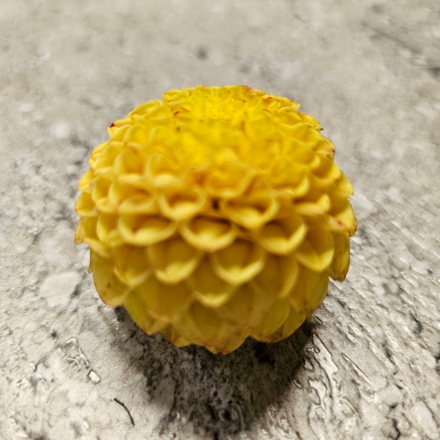 Glenbank Honeycomb