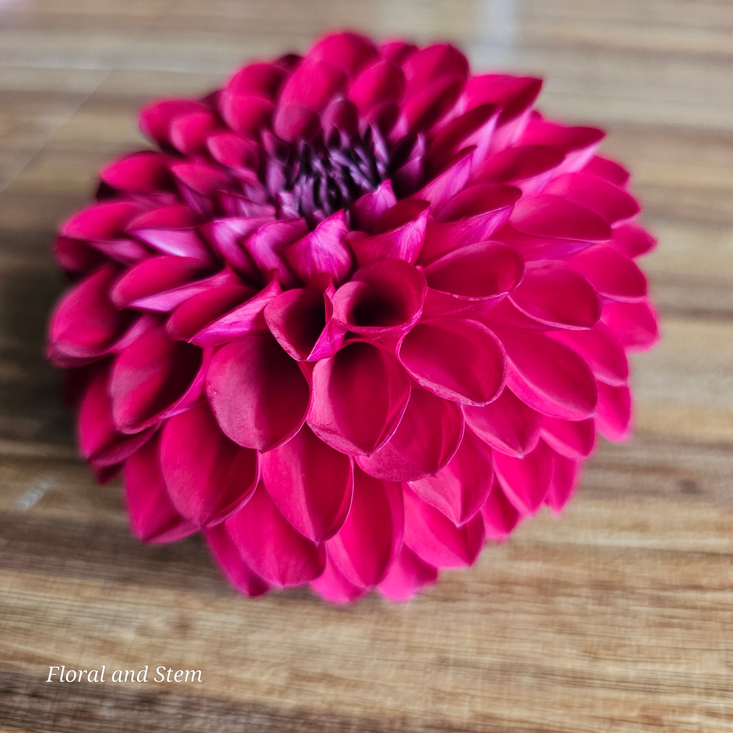 Red Wonder