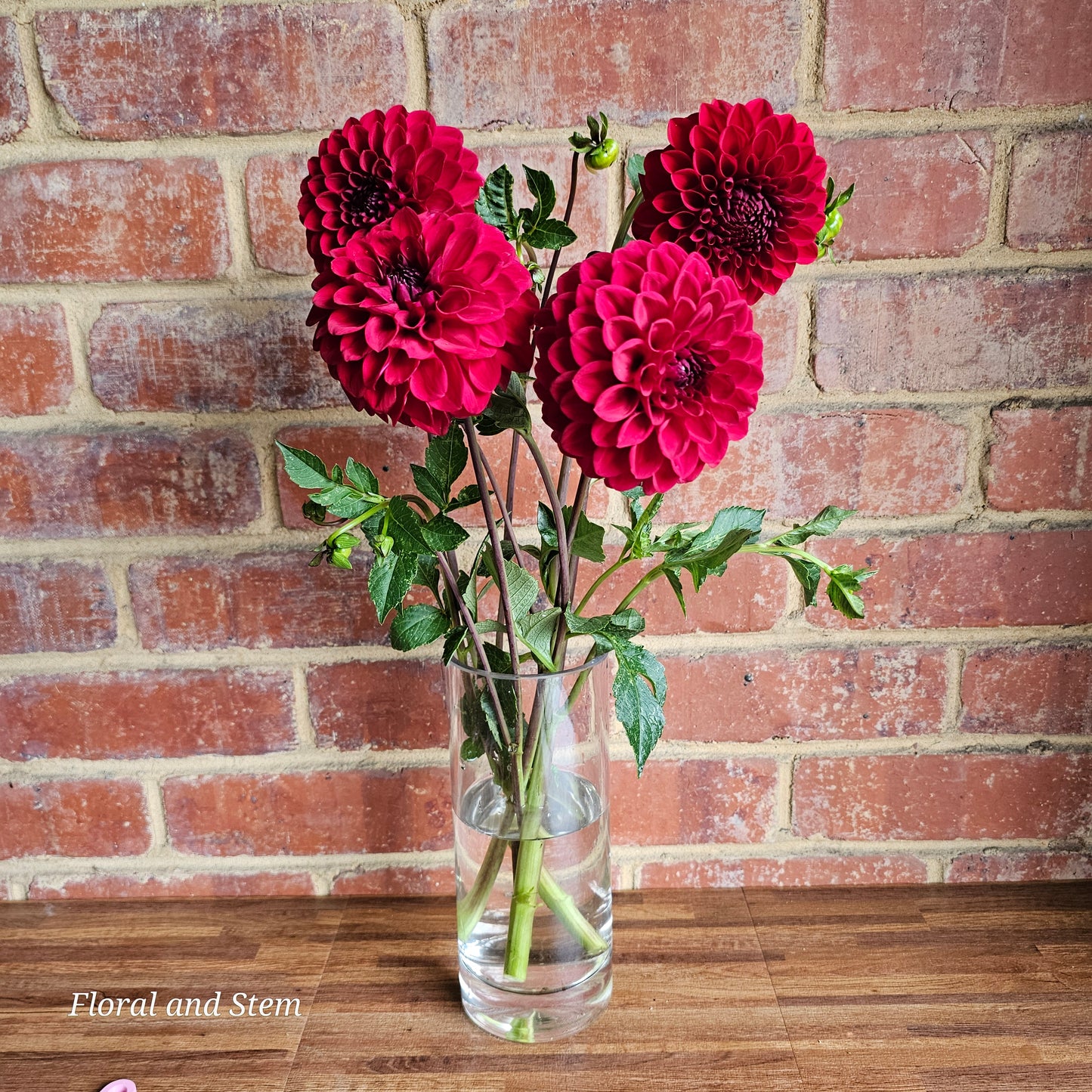 Red Wonder