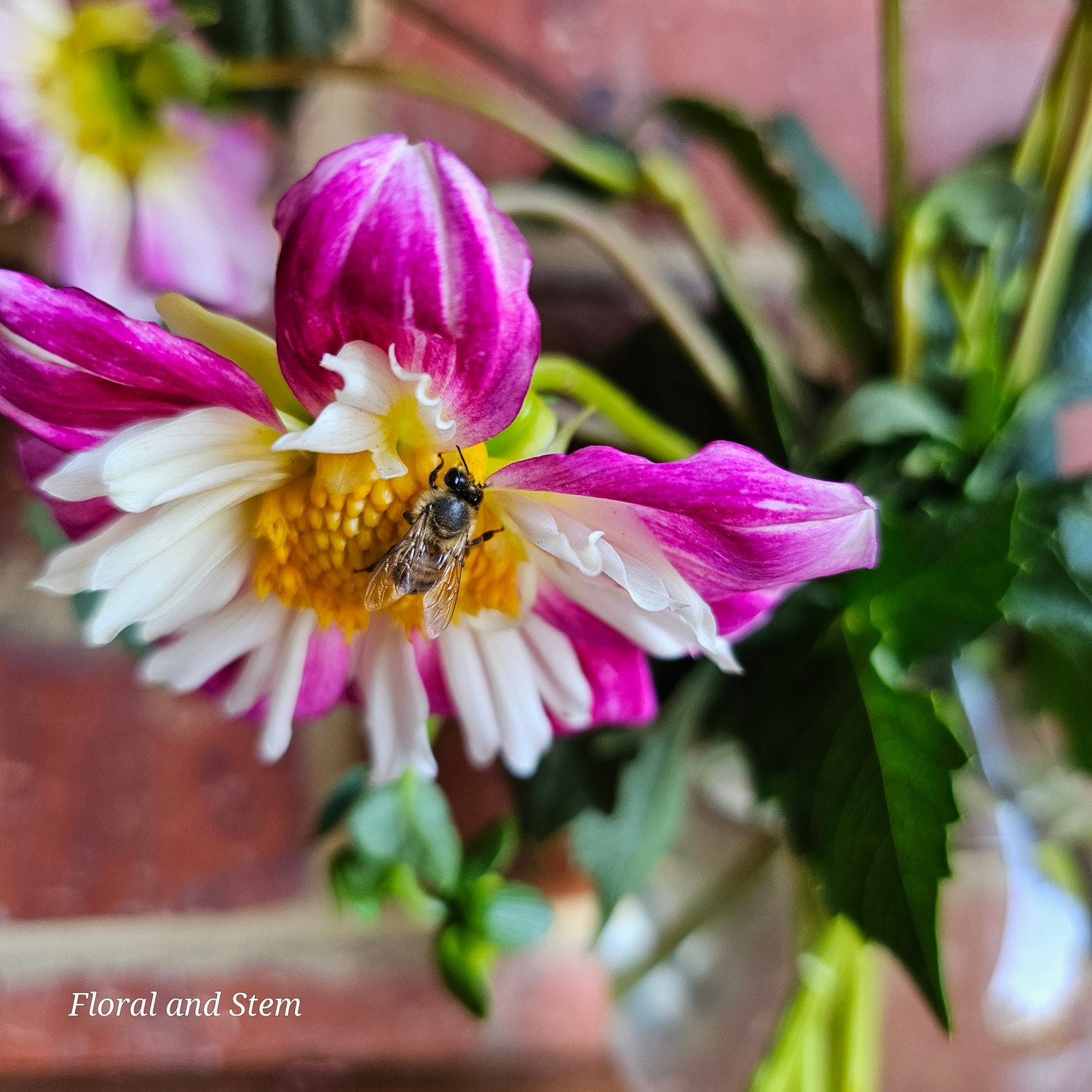Here for the Bees
