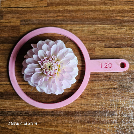 Florelie Peggy