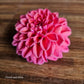 Florelie Quince