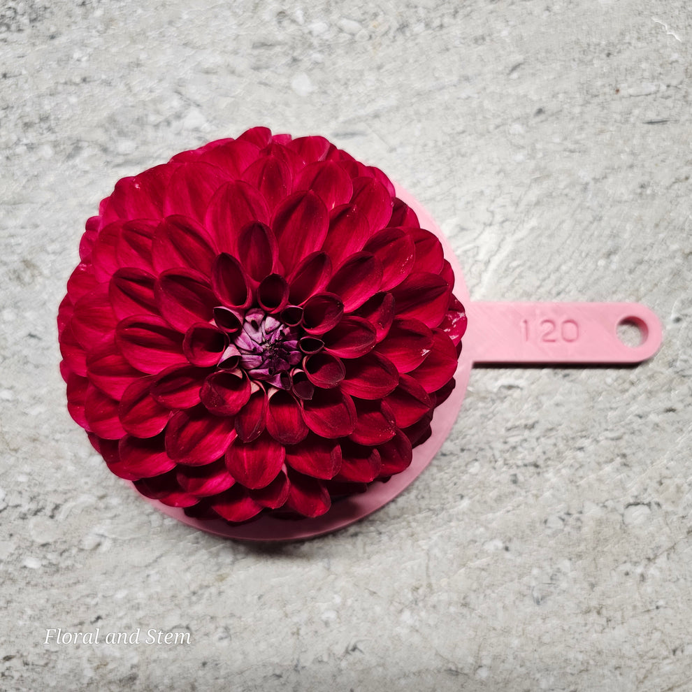Formby Atom – Floral and Stem