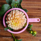 Gosia Peach Sundae