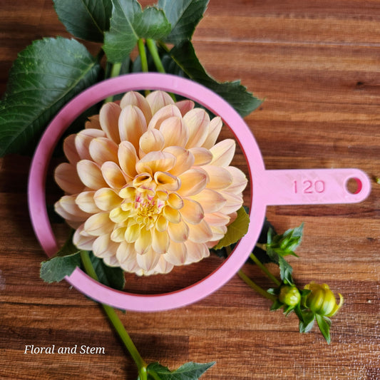 Gosia Peach Sundae