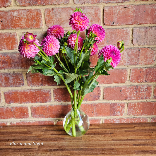 Pink Suffusion