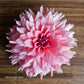 WV Victorian Blush