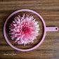 WV Victorian Blush