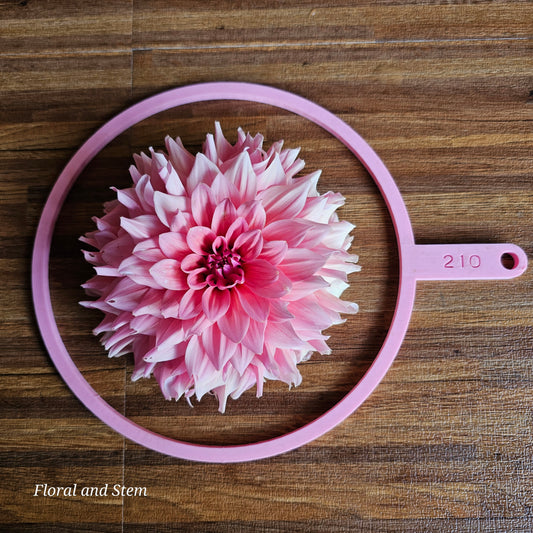 WV Victorian Blush